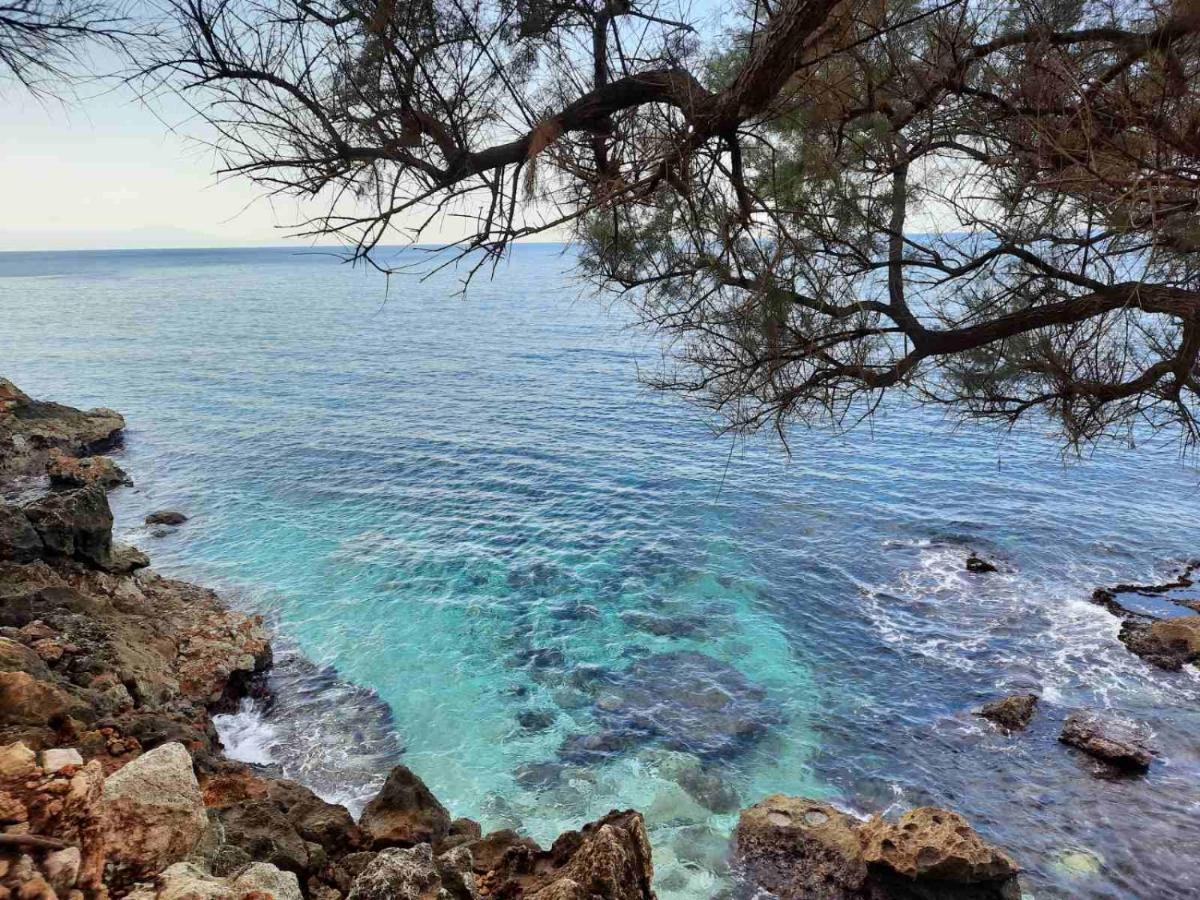 New Sea Escape Boutique Apt-Agii Aposto Li Beach Chania  Exteriér fotografie