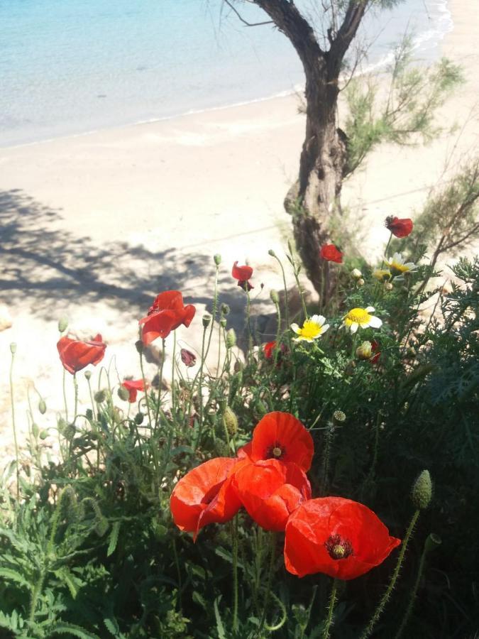 New Sea Escape Boutique Apt-Agii Aposto Li Beach Chania  Exteriér fotografie